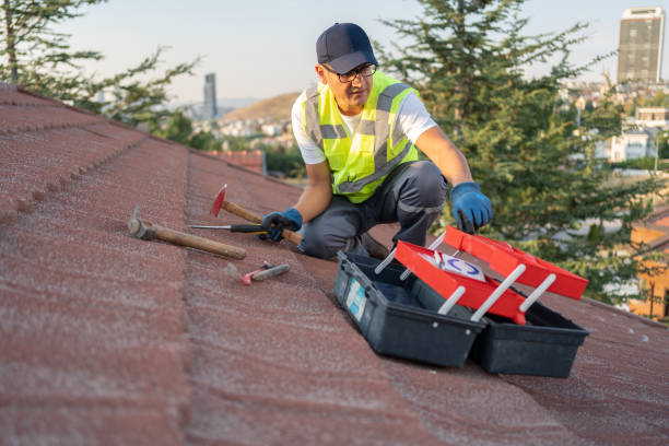 Professional Siding Installation & Repair in Maben, MS
